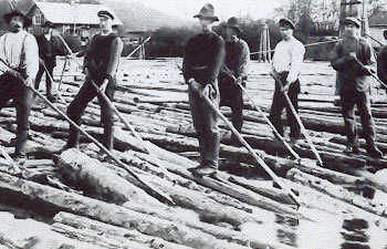 Svenske tømmerførere på Finnskogen